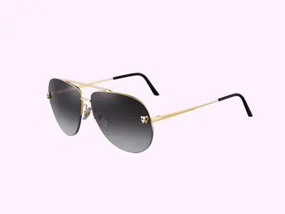 Essilor sun glass